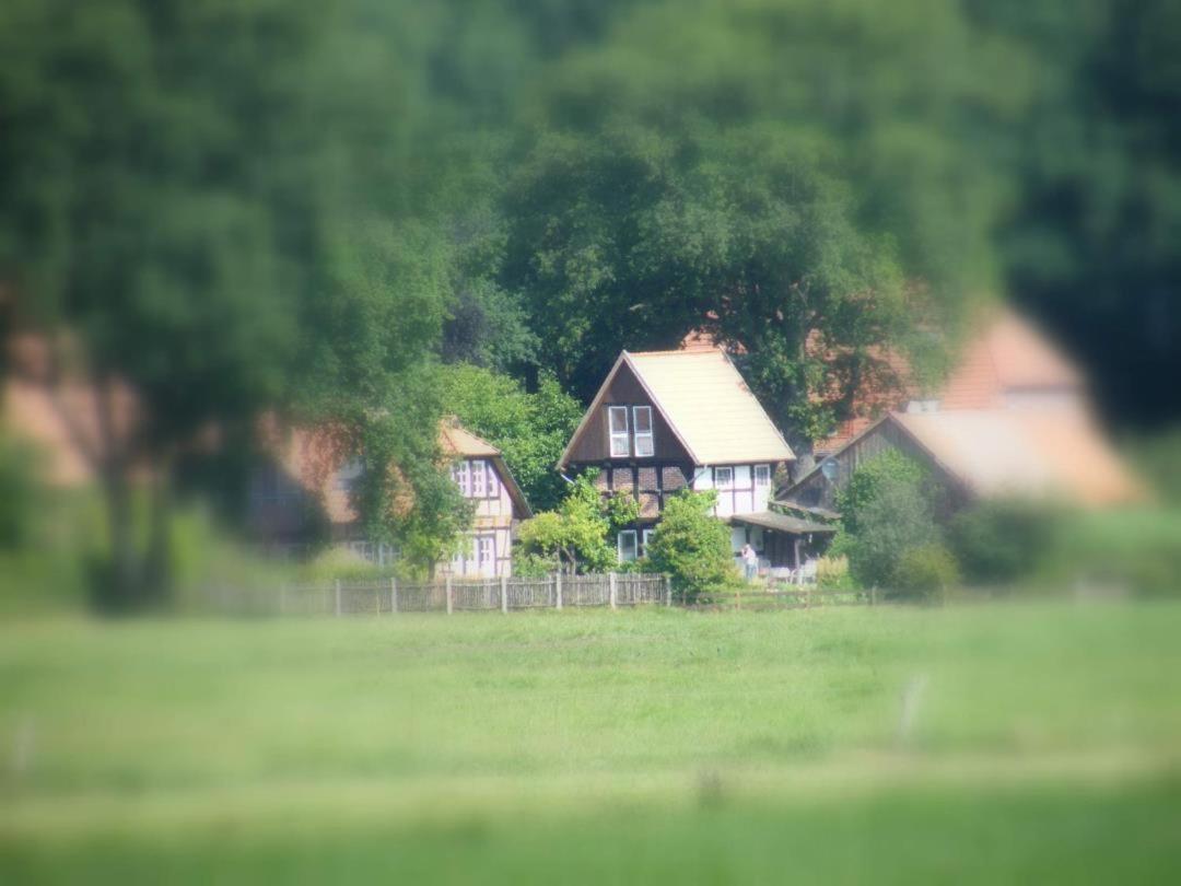 Neu! Bauern-Speicher Anno 1606 Wienhausen Exterior foto
