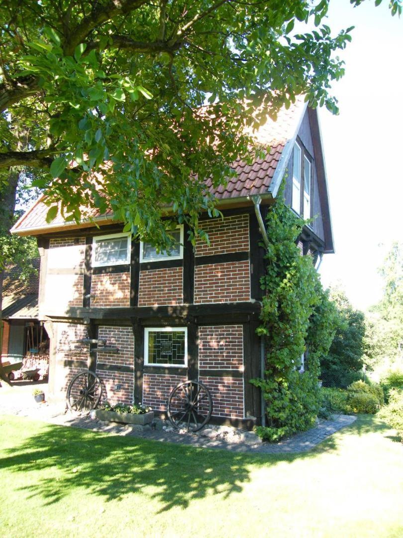 Neu! Bauern-Speicher Anno 1606 Wienhausen Exterior foto
